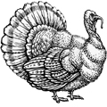 image-category-37